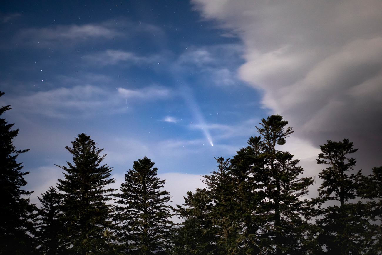 017_H3A0208_1300px