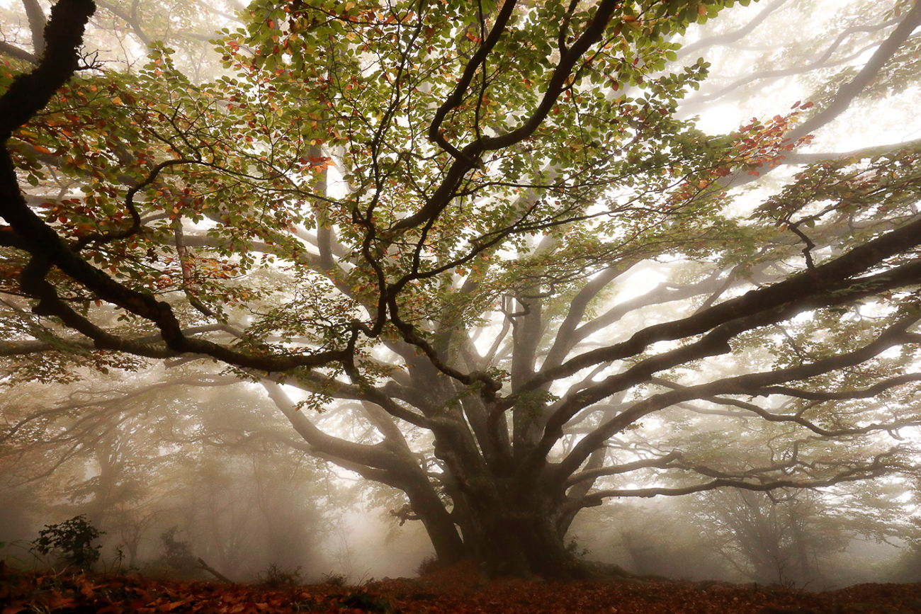 09_H3A3599_2_OK-1200px_srvb_1300px