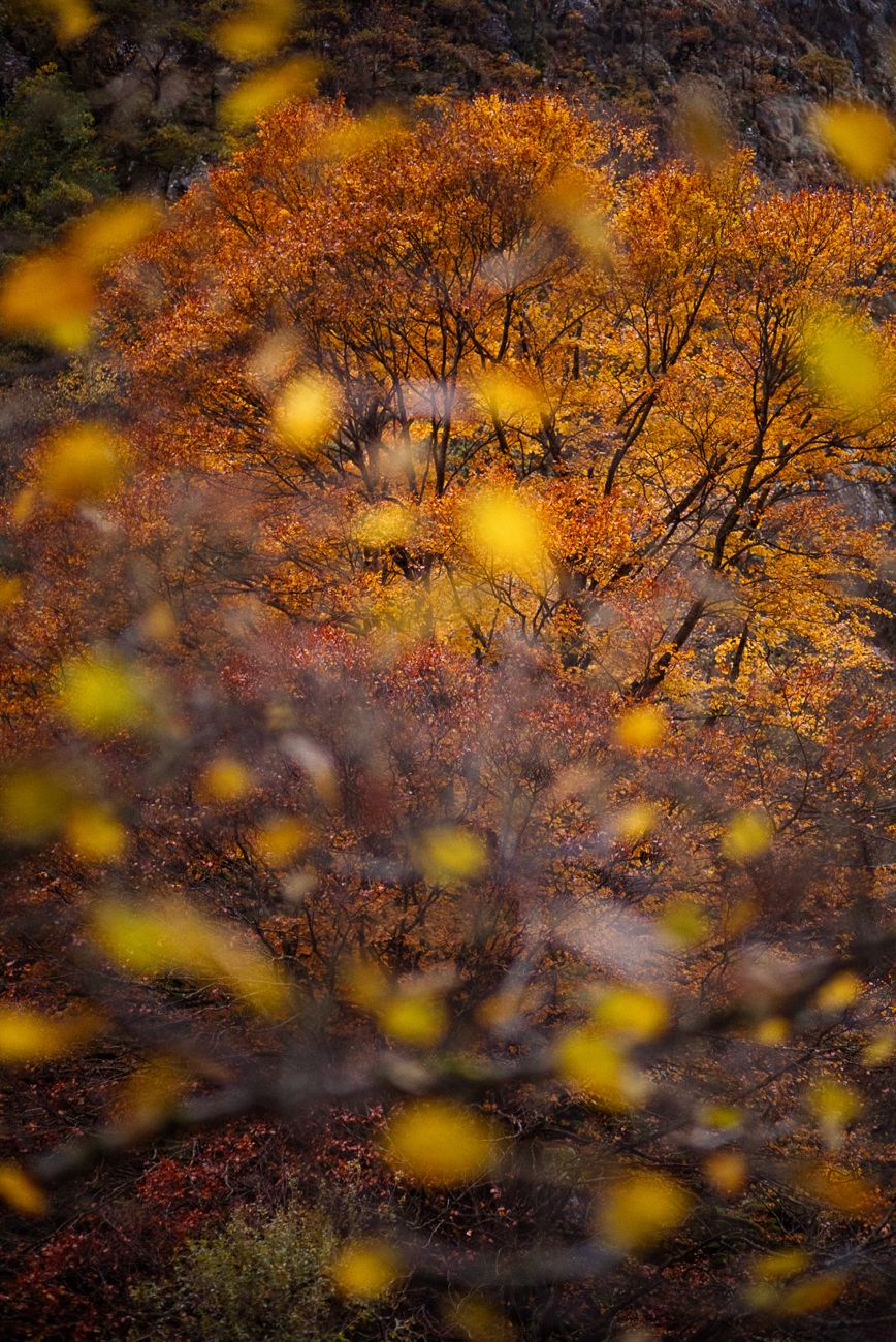_H3A3313-2HD_1300px