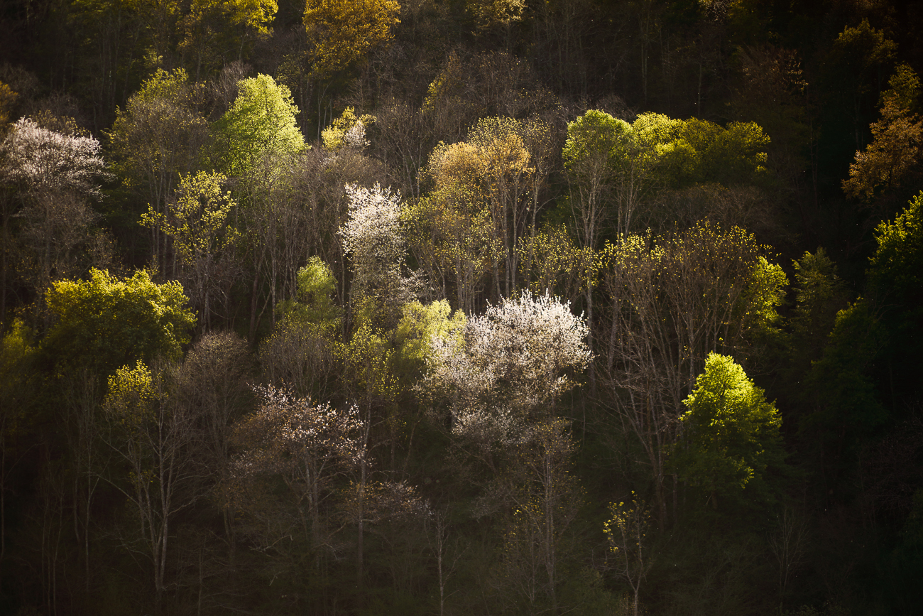 _H3A6616-2HD_1300px