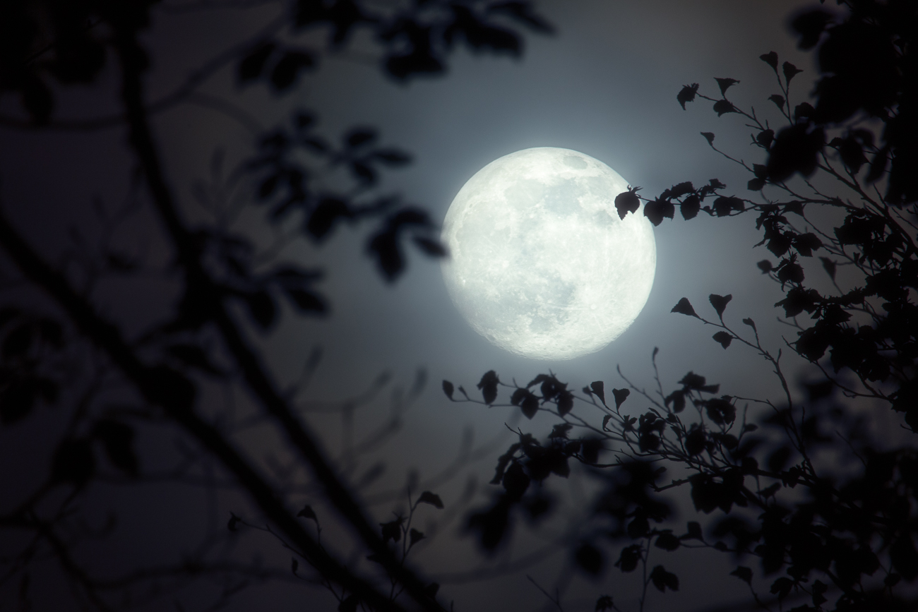 Lune